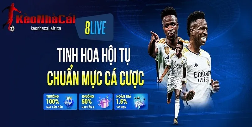 8live trải nghiệm giải trsi đa dạng và sáng tạo