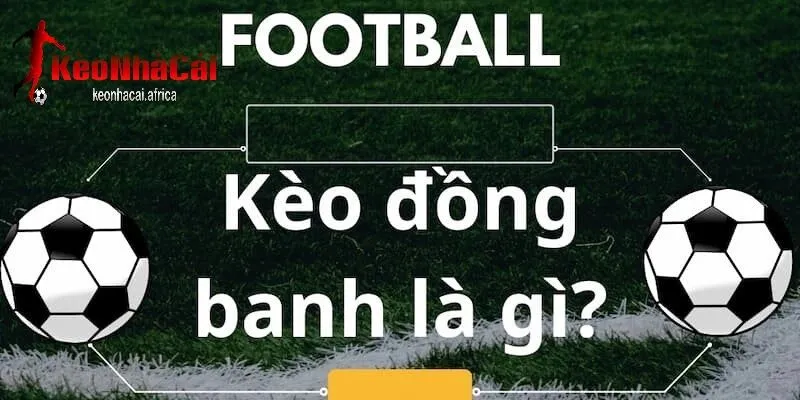 Giới thiệu chung về kèo chấp đồng banh