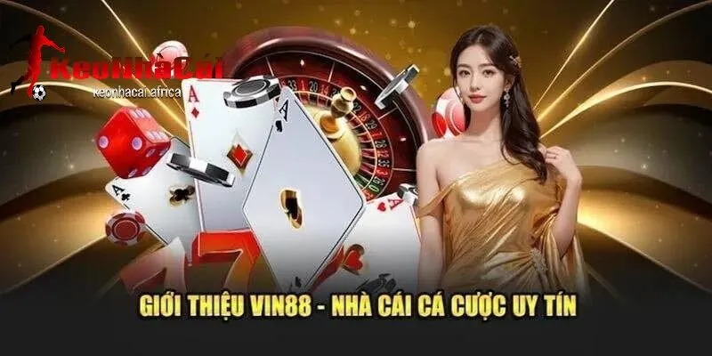 Giới thiệu chung về vin88