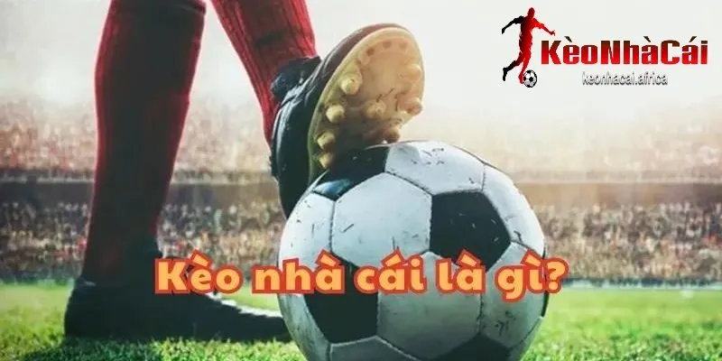 Giới thiệu về kèo nhà cái là gì trên keonhacai