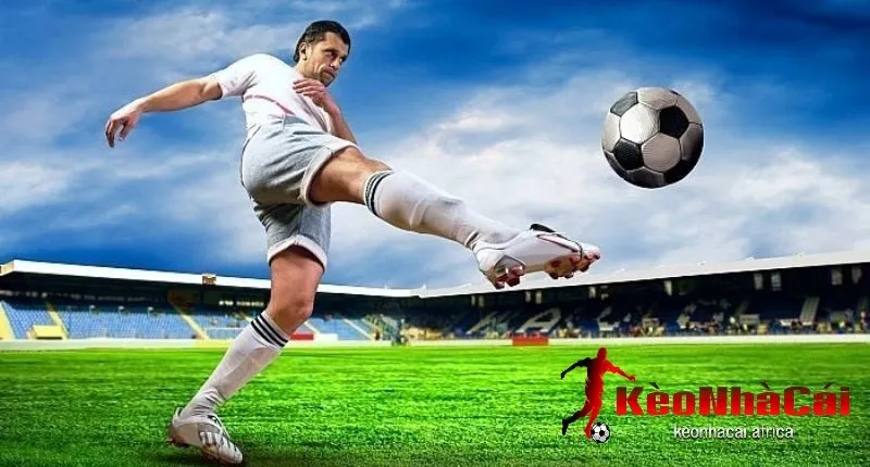 Nghiên cứu kỹ lưỡng trước khi cá cược