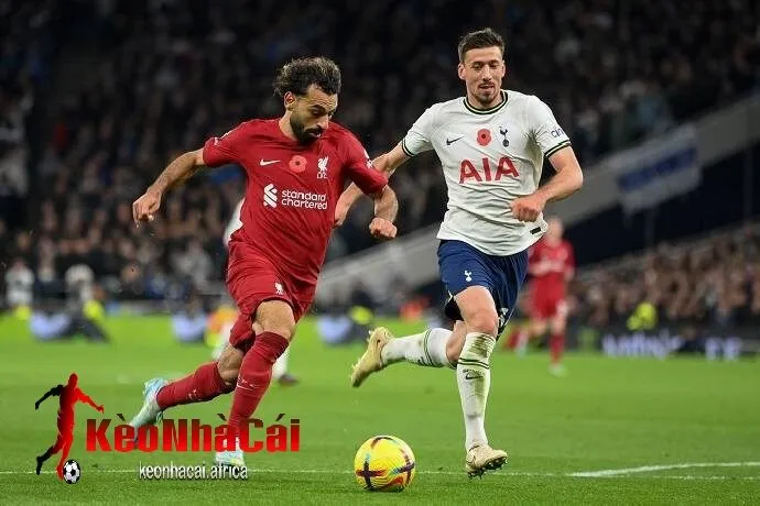 Nhận định của chuyên gia từ keonhacai