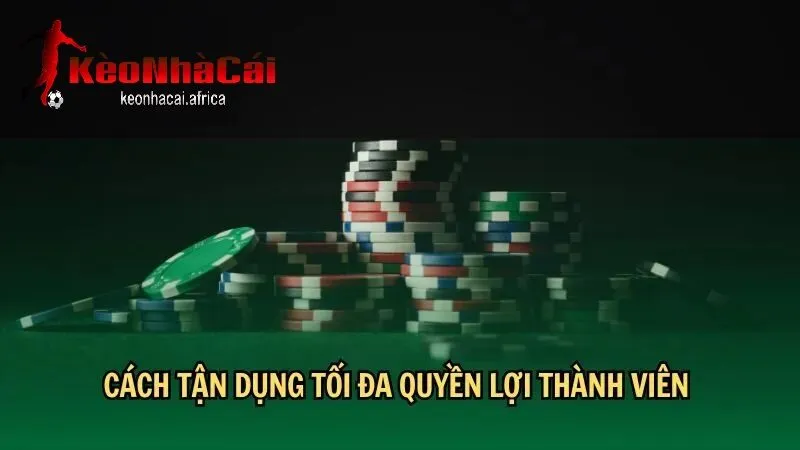 Tận dụng tối đa ưu đãi và chiến lược cá cược