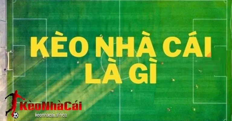 Vai trò của keonhacai trong việc cung cấp thông tin kèo cược