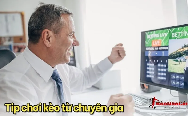 Bí Quyết Soi Kèo Nhà Cái Hiệu Quả Từ Các Chuyên Gia