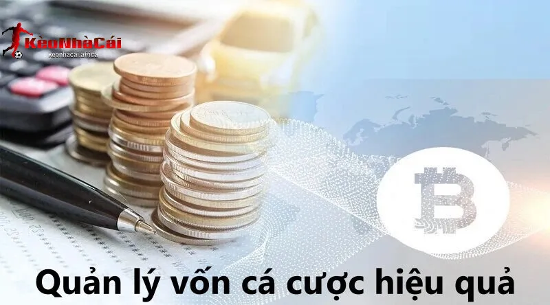 Công cụ quản lý vốn rất hiệu quả