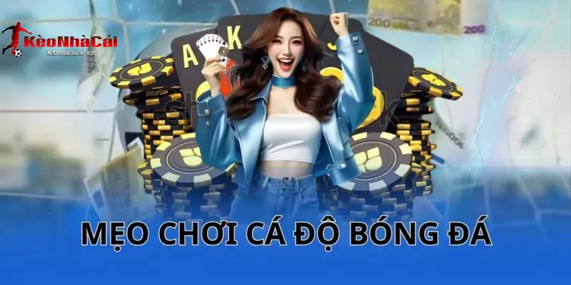 Mẹo Cá Cược Bóng Đá Online Hiệu Quả - Tăng Tỷ Lệ Thắng