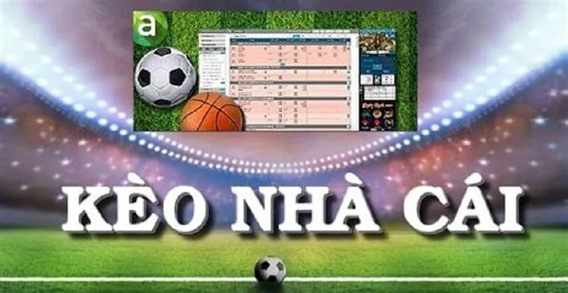 Lựa Chọn Nhà Cái Và Trang Thống Kê Đáng Tin