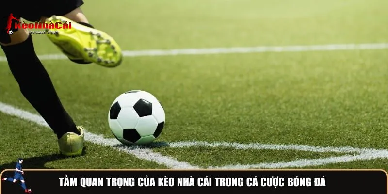 Tầm Quan Trọng Của Kèo Nhà Cái Trong Cá Cược Bóng Đá