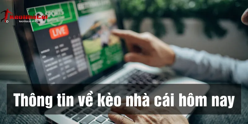 Cập Nhật Tỷ Lệ Kèo Nhà Cái Hôm Nay - Biến Động Mới Nhất